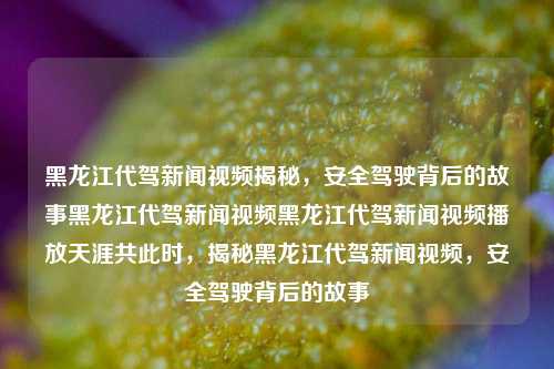 黑龙江代驾新闻视频揭秘，安全驾驶背后的故事黑龙江代驾新闻视频黑龙江代驾新闻视频播放天涯共此时，揭秘黑龙江代驾新闻视频，安全驾驶背后的故事，揭秘黑龙江代驾新闻视频，安全驾驶背后的故事与真相