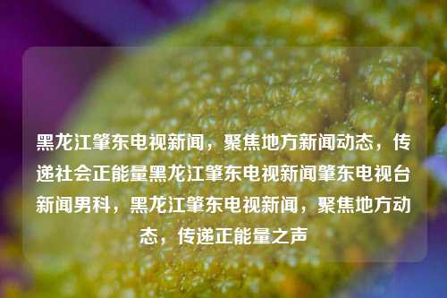 黑龙江肇东电视新闻，聚焦地方新闻动态，传递社会正能量黑龙江肇东电视新闻肇东电视台新闻男科，黑龙江肇东电视新闻，聚焦地方动态，传递正能量之声，黑龙江肇东电视新闻，传递正能量，聚焦地方动态新闻