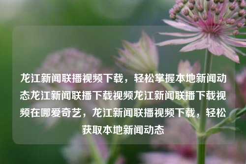 龙江新闻联播视频下载，轻松掌握本地新闻动态龙江新闻联播下载视频龙江新闻联播下载视频在哪爱奇艺，龙江新闻联播视频下载，轻松获取本地新闻动态，龙江新闻联播，轻松下载，掌握本地新闻动态