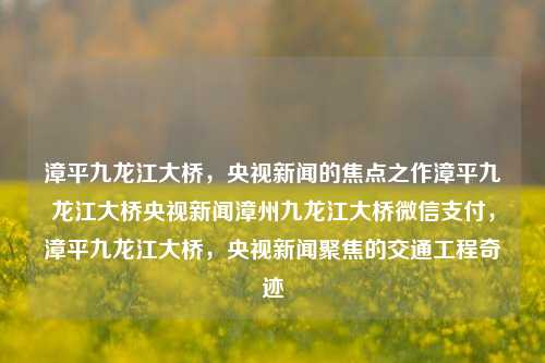 漳平九龙江大桥，央视新闻的焦点之作漳平九龙江大桥央视新闻漳州九龙江大桥微信支付，漳平九龙江大桥，央视新闻聚焦的交通工程奇迹，央视新闻聚焦的漳平九龙江大桥，交通工程奇迹的见证