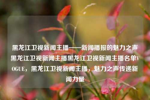 黑龙江卫视新闻主播——新闻播报的魅力之声黑龙江卫视新闻主播黑龙江卫视新闻主播名单VOGUE，黑龙江卫视新闻主播，魅力之声传递新闻力量，黑龙江卫视新闻主播，传递新闻力量的魅力之声