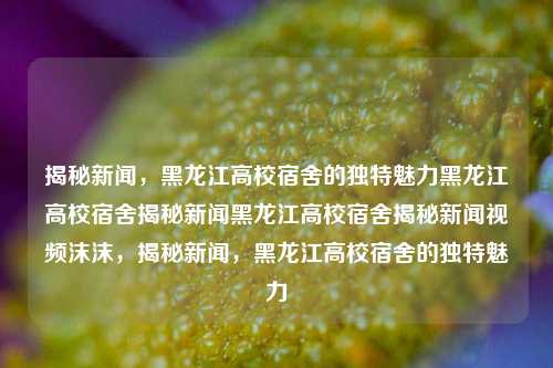 揭秘新闻，黑龙江高校宿舍的独特魅力黑龙江高校宿舍揭秘新闻黑龙江高校宿舍揭秘新闻视频沫沫，揭秘新闻，黑龙江高校宿舍的独特魅力，黑龙江高校宿舍，独特魅力揭秘新闻视频