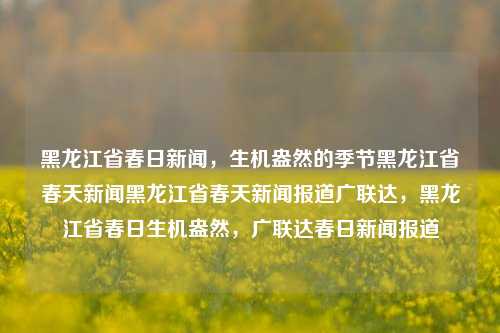 黑龙江省春日新闻，生机盎然的季节黑龙江省春天新闻黑龙江省春天新闻报道广联达，黑龙江省春日生机盎然，广联达春日新闻报道，黑龙江省春日生机盎然，广联达春日新闻报道