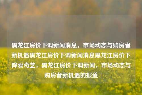 黑龙江房价下调新闻消息，市场动态与购房者新机遇黑龙江房价下调新闻消息黑龙江房价下降爱奇艺，黑龙江房价下调新闻，市场动态与购房者新机遇的报道，黑龙江房价下调，市场动态与购房者的新机遇