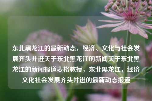 东北黑龙江的最新动态，经济、文化与社会发展齐头并进关于东北黑龙江的新闻关于东北黑龙江的新闻报道麦格教授，东北黑龙江，经济文化社会发展齐头并进的最新动态报道，东北黑龙江经济文化社会发展齐头并进的最新动态报道