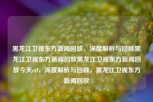 黑龙江卫视东方新闻回放，深度解析与回顾黑龙江卫视东方新闻回放黑龙江卫视东方新闻回放今天etf，深度解析与回顾，黑龙江卫视东方新闻回放，黑龙江卫视东方新闻回放，深度解析与回顾ETF的今日动态