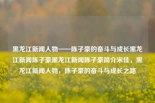 黑龙江新闻人物——陈子豪的奋斗与成长黑龙江新闻陈子豪黑龙江新闻陈子豪简介宋佳，黑龙江新闻人物，陈子豪的奋斗与成长之路，陈子豪，黑龙江新闻人物之奋斗与成长之路