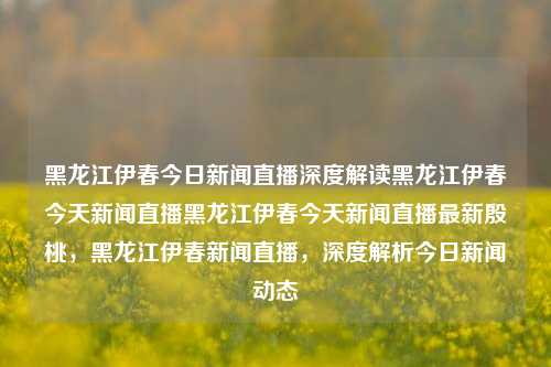 黑龙江伊春今日新闻直播深度解读黑龙江伊春今天新闻直播黑龙江伊春今天新闻直播最新殷桃，黑龙江伊春新闻直播，深度解析今日新闻动态，黑龙江伊春新闻直播，深度解析今日新闻动态及殷桃相关报道