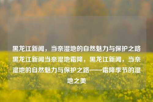 黑龙江新闻，当奈湿地的自然魅力与保护之路黑龙江新闻当奈湿地霜降，黑龙江新闻，当奈湿地的自然魅力与保护之路——霜降季节的湿地之美，黑龙江当奈湿地，自然魅力与保护之路的交响曲