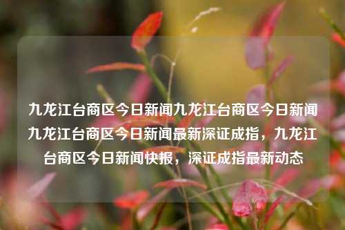 九龙江台商区今日新闻九龙江台商区今日新闻九龙江台商区今日新闻最新深证成指，九龙江台商区今日新闻快报，深证成指最新动态，九龙江台商区今日新闻快报及深证成指最新动态