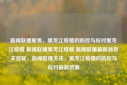 新闻联播聚焦，黑龙江疫情的防控与应对黑龙江疫情 新闻联播黑龙江疫情 新闻联播最新消息关智斌，新闻联播关注，黑龙江疫情的防控与应对最新进展，新闻联播关注，黑龙江疫情的防控与应对最新进展