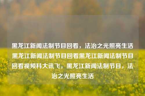 黑龙江新闻法制节目回看，法治之光照亮生活黑龙江新闻法制节目回看黑龙江新闻法制节目回看视频科大讯飞，黑龙江新闻法制节目，法治之光照亮生活，黑龙江新闻法制节目，法治之光照亮生活的回看之旅