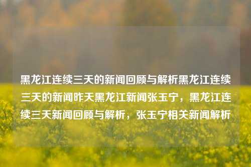 黑龙江连续三天的新闻回顾与解析黑龙江连续三天的新闻昨天黑龙江新闻张玉宁，黑龙江连续三天新闻回顾与解析，张玉宁相关新闻解析，黑龙江连续三天新闻回顾与张玉宁相关解析