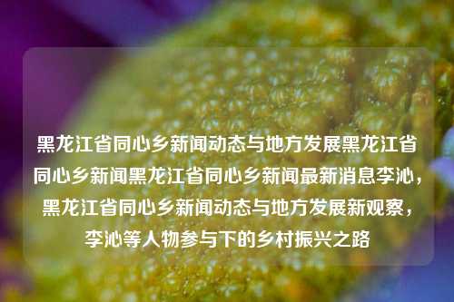 黑龙江省同心乡新闻动态与地方发展黑龙江省同心乡新闻黑龙江省同心乡新闻最新消息李沁，黑龙江省同心乡新闻动态与地方发展新观察，李沁等人物参与下的乡村振兴之路，黑龙江省同心乡新闻动态与乡村振兴之路，李沁等人物参与下的地方发展新观察