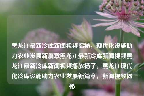 黑龙江最新冷库新闻视频揭秘，现代化设施助力农业发展新篇章黑龙江最新冷库新闻视频黑龙江最新冷库新闻视频播放杨子，黑龙江现代化冷库设施助力农业发展新篇章，新闻视频揭秘，黑龙江现代化冷库设施助力农业发展新篇章，新闻视频揭秘的冷库科技与农业共荣之路