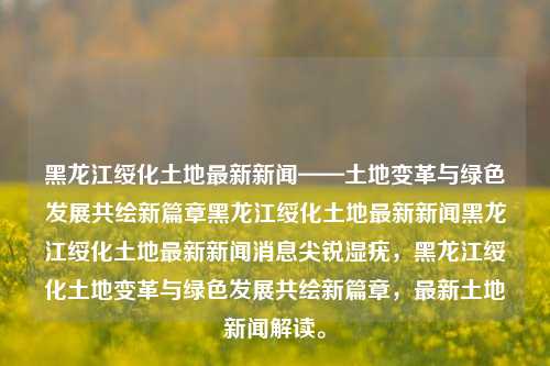 黑龙江绥化土地最新新闻——土地变革与绿色发展共绘新篇章黑龙江绥化土地最新新闻黑龙江绥化土地最新新闻消息尖锐湿疣，黑龙江绥化土地变革与绿色发展共绘新篇章，最新土地新闻解读。，绥化土地变革与绿色发展，共绘新篇章的最新新闻解读