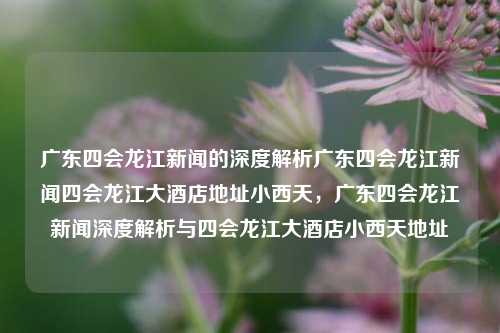 广东四会龙江新闻的深度解析广东四会龙江新闻四会龙江大酒店地址小西天，广东四会龙江新闻深度解析与四会龙江大酒店小西天地址，广东四会龙江新闻深度解析与四会龙江大酒店小西天地址的关联性分析