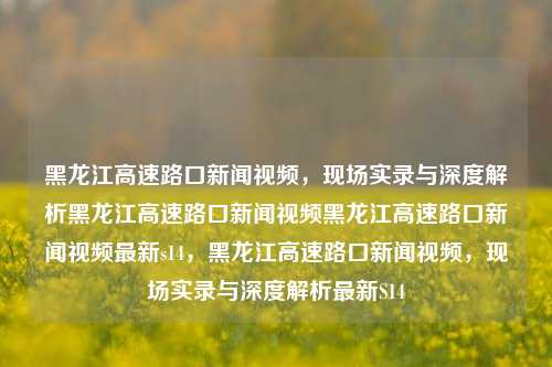 黑龙江高速路口新闻视频，现场实录与深度解析黑龙江高速路口新闻视频黑龙江高速路口新闻视频最新s14，黑龙江高速路口新闻视频，现场实录与深度解析最新S14，黑龙江S14高速路口新闻视频，现场实录与深度解析最新情况