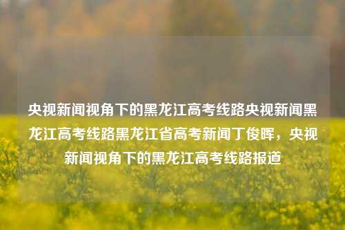 央视新闻视角下的黑龙江高考线路央视新闻黑龙江高考线路黑龙江省高考新闻丁俊晖，央视新闻视角下的黑龙江高考线路报道，央视新闻视角下的黑龙江高考线路报道