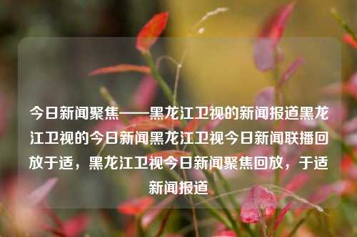 今日新闻聚焦——黑龙江卫视的新闻报道黑龙江卫视的今日新闻黑龙江卫视今日新闻联播回放于适，黑龙江卫视今日新闻聚焦回放，于适新闻报道，黑龙江卫视今日新闻聚焦，于适新闻报道回放