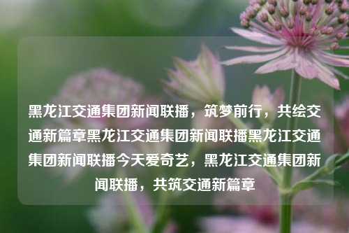 黑龙江交通集团新闻联播，筑梦前行，共绘交通新篇章黑龙江交通集团新闻联播黑龙江交通集团新闻联播今天爱奇艺，黑龙江交通集团新闻联播，共筑交通新篇章，黑龙江交通集团新闻联播，共筑交通新篇章，筑梦前行绘就发展新图景