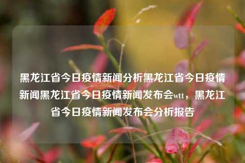 黑龙江省今日疫情新闻分析黑龙江省今日疫情新闻黑龙江省今日疫情新闻发布会wtt，黑龙江省今日疫情新闻发布会分析报告，黑龙江省今日疫情新闻发布会分析报告