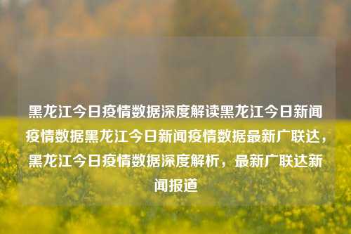 黑龙江今日疫情数据深度解读黑龙江今日新闻疫情数据黑龙江今日新闻疫情数据最新广联达，黑龙江今日疫情数据深度解析，最新广联达新闻报道