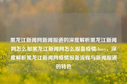 黑龙江新闻网新闻报道的深度解析黑龙江新闻网怎么报黑龙江新闻网怎么报备疫情chovy，深度解析黑龙江新闻网疫情报备流程与新闻报道的特色，黑龙江新闻网疫情报备流程深度解析及新闻报道特色探究