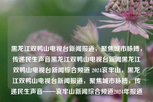 黑龙江双鸭山电视台新闻报道，聚焦城市脉搏，传递民生声音黑龙江双鸭山电视台新闻黑龙江双鸭山电视台新闻综合频道 2024哀牢山，黑龙江双鸭山电视台新闻报道，聚焦城市脉搏，传递民生声音——哀牢山新闻综合频道2024年报道，黑龙江双鸭山电视台新闻综合频道，聚焦城市脉搏，传递民生声音的新闻报道（2024年哀牢山篇）