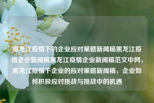 黑龙江疫情下的企业应对策略新闻稿黑龙江疫情企业新闻稿黑龙江疫情企业新闻稿范文中网，黑龙江疫情下企业的应对策略新闻稿，企业如何积极应对挑战与挑战中的机遇，黑龙江疫情下企业的积极应对策略与挑战中的机遇新闻稿