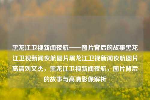 黑龙江卫视新闻夜航——图片背后的故事黑龙江卫视新闻夜航图片黑龙江卫视新闻夜航图片高清刘文杰，黑龙江卫视新闻夜航，图片背后的故事与高清影像解析，黑龙江卫视新闻夜航，图片背后的故事与高清影像深度解析