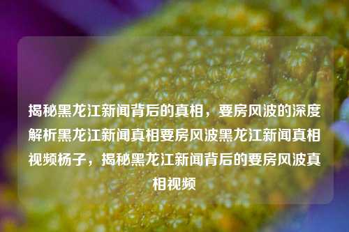 揭秘黑龙江新闻背后的真相，要房风波的深度解析黑龙江新闻真相要房风波黑龙江新闻真相视频杨子，揭秘黑龙江新闻背后的要房风波真相视频，揭秘黑龙江新闻要房风波背后的真相视频