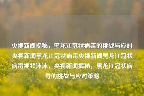 央视新闻揭秘，黑龙江冠状病毒的挑战与应对央视新闻黑龙江冠状病毒央视新闻黑龙江冠状病毒视频沫沫，央视新闻揭秘，黑龙江冠状病毒的挑战与应对策略，央视新闻揭秘，黑龙江冠状病毒的挑战与应对策略