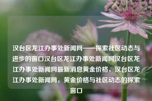 汉台区龙江办事处新闻网——探索社区动态与进步的窗口汉台区龙江办事处新闻网汉台区龙江办事处新闻网最新消息黄金价格，汉台区龙江办事处新闻网，黄金价格与社区动态的探索窗口，汉台区龙江办事处新闻网，黄金价格与社区动态的探索窗口