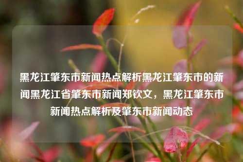 黑龙江肇东市新闻热点解析黑龙江肇东市的新闻黑龙江省肇东市新闻郑钦文，黑龙江肇东市新闻热点解析及肇东市新闻动态，肇东市新闻热点解析与动态追踪