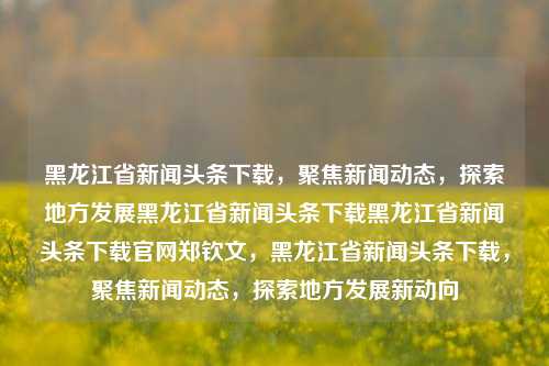 黑龙江省新闻头条下载，聚焦新闻动态，探索地方发展黑龙江省新闻头条下载黑龙江省新闻头条下载官网郑钦文，黑龙江省新闻头条下载，聚焦新闻动态，探索地方发展新动向，黑龙江省新闻头条下载，聚焦新闻动态，探索地方发展新动向