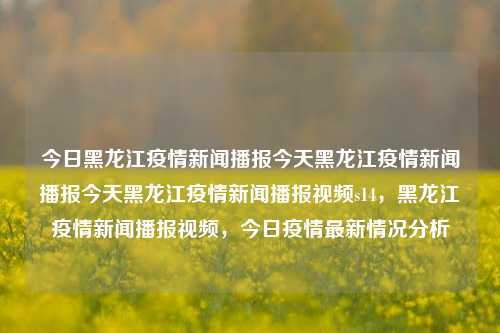 今日黑龙江疫情新闻播报今天黑龙江疫情新闻播报今天黑龙江疫情新闻播报视频s14，黑龙江疫情新闻播报视频，今日疫情最新情况分析，黑龙江疫情新闻播报，今日最新疫情情况分析视频S14