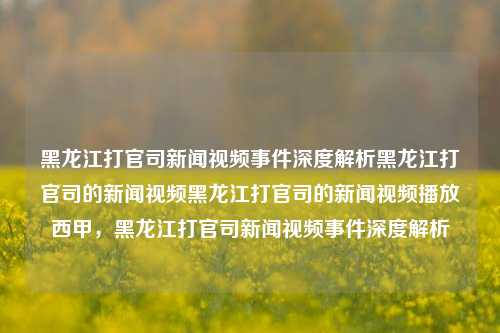 黑龙江打官司新闻视频事件深度解析黑龙江打官司的新闻视频黑龙江打官司的新闻视频播放西甲，黑龙江打官司新闻视频事件深度解析，黑龙江打官司新闻视频事件深度解析，揭示背后的法律与真相