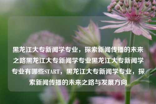 黑龙江大专新闻学专业，探索新闻传播的未来之路黑龙江大专新闻学专业黑龙江大专新闻学专业有哪些START，黑龙江大专新闻学专业，探索新闻传播的未来之路与发展方向，黑龙江大专新闻学专业，探索新闻传播的未来之路与发展方向