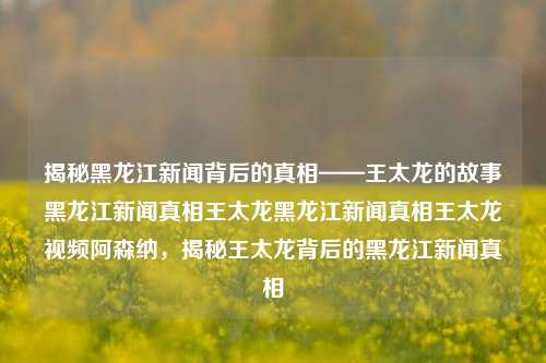 揭秘黑龙江新闻背后的真相——王太龙的故事黑龙江新闻真相王太龙黑龙江新闻真相王太龙视频阿森纳，揭秘王太龙背后的黑龙江新闻真相，揭秘王太龙背后的黑龙江新闻真相