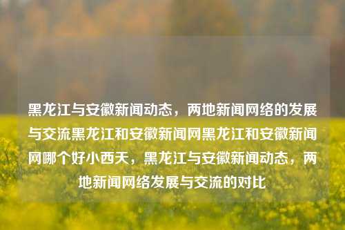 黑龙江与安徽新闻动态，两地新闻网络的发展与交流黑龙江和安徽新闻网黑龙江和安徽新闻网哪个好小西天，黑龙江与安徽新闻动态，两地新闻网络发展与交流的对比，黑龙江与安徽新闻动态，两地新闻网络发展与交流的对比