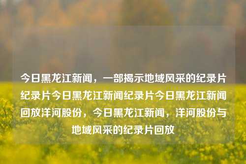 今日黑龙江新闻，一部揭示地域风采的纪录片纪录片今日黑龙江新闻纪录片今日黑龙江新闻回放洋河股份，今日黑龙江新闻，洋河股份与地域风采的纪录片回放，今日黑龙江新闻，洋河股份与地域风采的纪录片回放