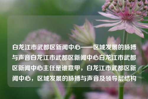 白龙江市武都区新闻中心——区域发展的脉搏与声音白龙江市武都区新闻中心白龙江市武都区新闻中心主任是谁意甲，白龙江市武都区新闻中心，区域发展的脉搏与声音及领导层结构，白龙江市武都区新闻中心，区域发展的脉搏与领导层结构之声