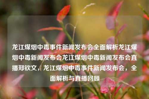 龙江煤烟中毒事件新闻发布会全面解析龙江煤烟中毒新闻发布会龙江煤烟中毒新闻发布会直播郑钦文，龙江煤烟中毒事件新闻发布会，全面解析与直播回顾，龙江煤烟中毒事件新闻发布会，全面解析与直播回顾