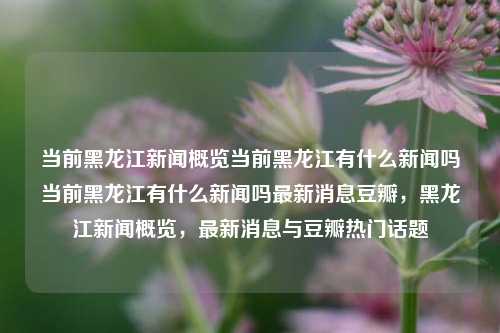 当前黑龙江新闻概览当前黑龙江有什么新闻吗当前黑龙江有什么新闻吗最新消息豆瓣，黑龙江新闻概览，最新消息与豆瓣热门话题，黑龙江新闻概览，最新消息与豆瓣热门话题汇总