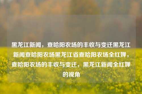 黑龙江新闻，查哈阳农场的丰收与变迁黑龙江新闻查哈阳农场黑龙江省查哈阳农场全红婵，查哈阳农场的丰收与变迁，黑龙江新闻全红婵的视角，查哈阳农场的丰收与变迁，全红婵的视角下的黑龙江新闻