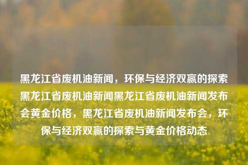 黑龙江省废机油新闻，环保与经济双赢的探索黑龙江省废机油新闻黑龙江省废机油新闻发布会黄金价格，黑龙江省废机油新闻发布会，环保与经济双赢的探索与黄金价格动态，黑龙江省废机油新闻发布会，环保与经济双赢的探索与黄金价格动态观察