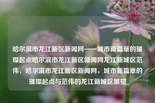 哈尔滨市龙江新区新闻网——城市新篇章的璀璨起点哈尔滨市龙江新区新闻网龙江新城区范伟，哈尔滨市龙江新区新闻网，城市新篇章的璀璨起点与范伟的龙江新城区展望，哈尔滨市龙江新区，城市新篇章的璀璨起点与范伟展望的未来新城