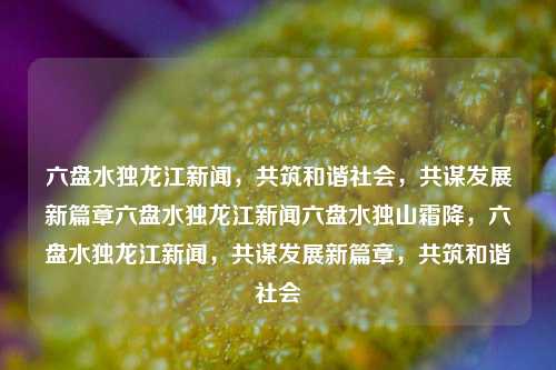 六盘水独龙江新闻，共筑和谐社会，共谋发展新篇章六盘水独龙江新闻六盘水独山霜降，六盘水独龙江新闻，共谋发展新篇章，共筑和谐社会，六盘水独龙江新闻，共筑和谐社会，共谋发展新篇章