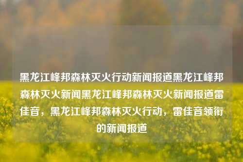 黑龙江峰邦森林灭火行动新闻报道黑龙江峰邦森林灭火新闻黑龙江峰邦森林灭火新闻报道雷佳音，黑龙江峰邦森林灭火行动，雷佳音领衔的新闻报道，雷佳音领衔报道，黑龙江峰邦森林灭火行动新闻快讯